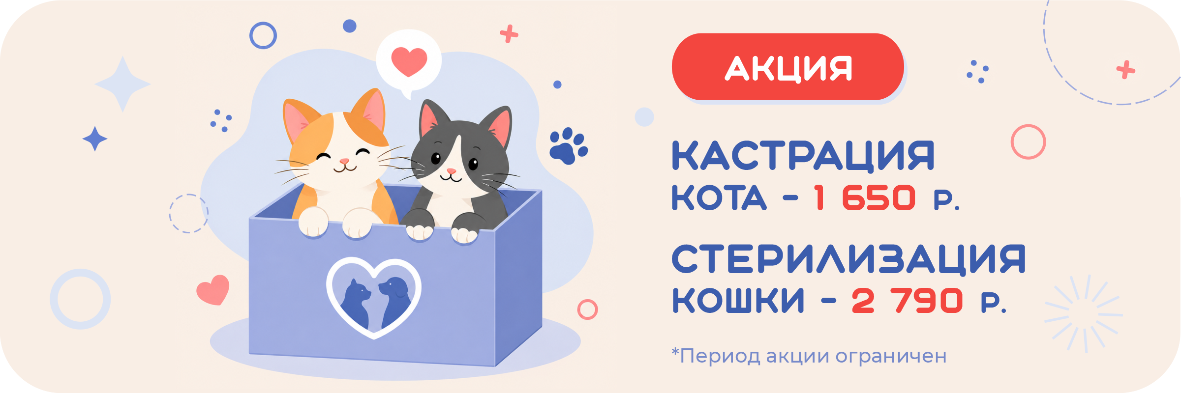 Акция на кастрацию котов и стерилизацию кошек
